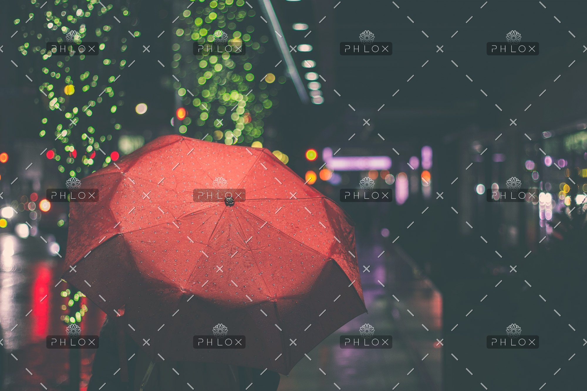 The Whole Network of Huts And Pathways Forming